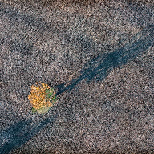 Preview: Aerial View Over The Colourful Trees And Fields In Autumn