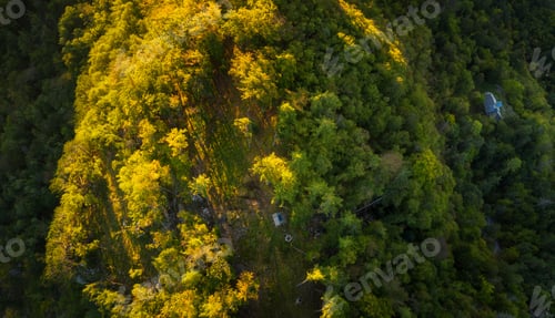 Preview: Aerial View Of The Forest And Valley At Sunrise
