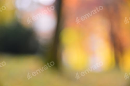 Preview: Blurred Background Trees In Autumn City Park