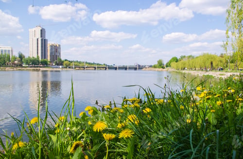 Preview: City Park Spring - Blooming Trees, Green Grass, River, Blurred Background