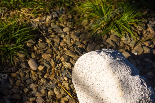 Preview: White Porous Stone Lying On The Gravel Path With Green Grass