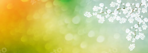 Preview: Blossoming Branch Apple. Bright Colorful Spring Flowers