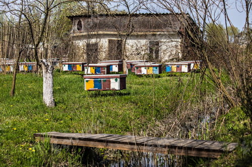 Preview: Colorful Beehives In The Bee-Garden In Ukrainian Village