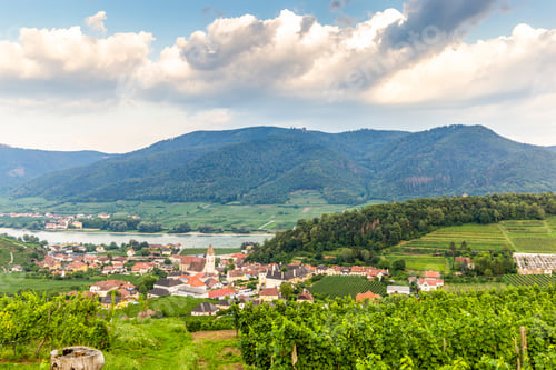 Preview: Spitz, Austria, View To Town And Old Church From Green Vineyards.