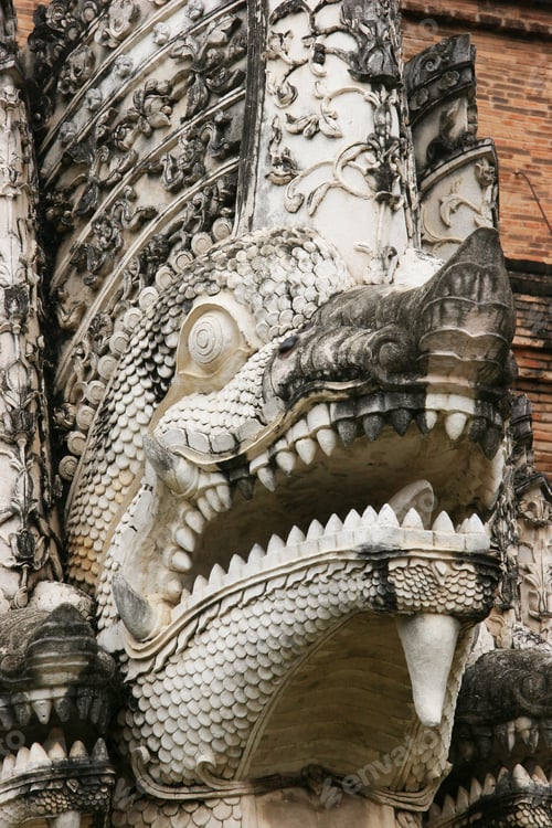 Preview: Detail Of Dragon Or Snake Head