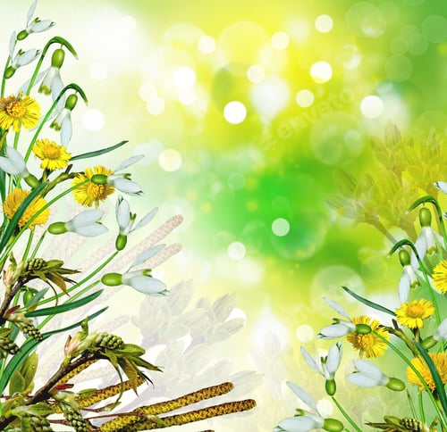 Preview: Background Of Wild Flowers And Tree Branches