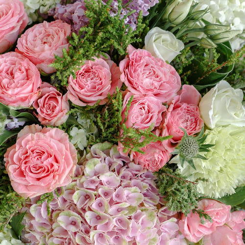 Preview: Floral Background In Pastel Color, The Bouquet Of Roses And Hydrangeas