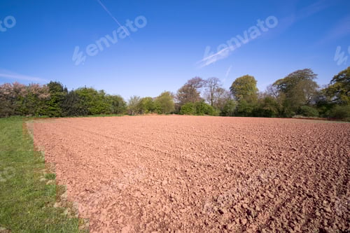 Preview: Arable Field Prepared For Sowing Crops