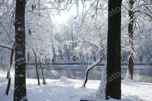 Preview: Winter Landscape In The Park In A Cold, But Sunny Day. High Resolution And Beautiful Snow Details