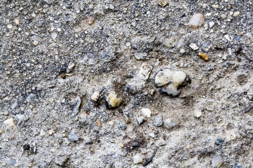 Preview: Very Old Stone Texture