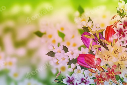 Preview: Floral Background