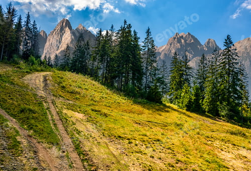 Preview: Composite Image With Spruce Forest On A Grassy Hill In High Tatra Mountains. Wonderful Summer