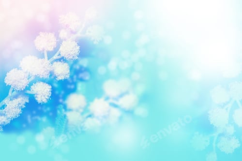 Preview: Natural Floral Background Of Spring Bright Flowers. Mimosa Twig