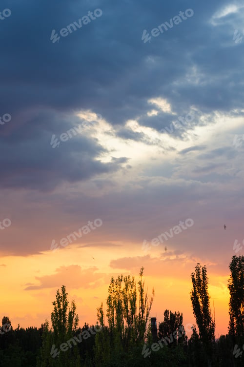 Preview: Landscape With Dramatic Light - Orange Clouds And The Outline Of Trees At Sunset