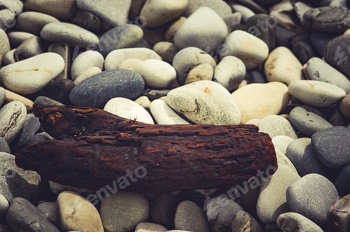 Preview: Driftwood, Washed Up By The Sea On A Pebble Beach