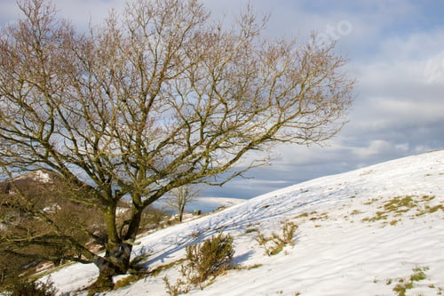 Preview: Winter Landscape Along The Malvern Hills In England.