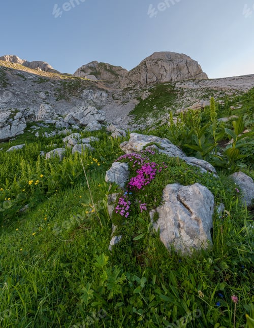 Preview: Early Morning In The Mountains. Beautiful View In Julian Alps In Slovenia