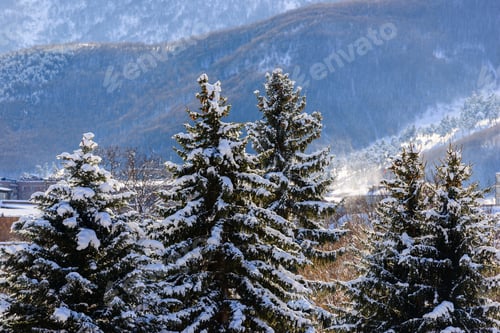 Winterlandschaft