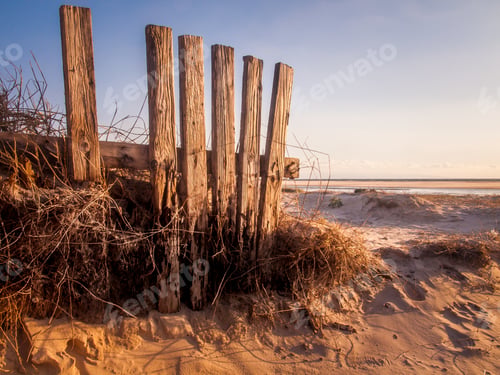 Preview: Dune And Sandy Wide Sandy Beach In Tarifa, Spain