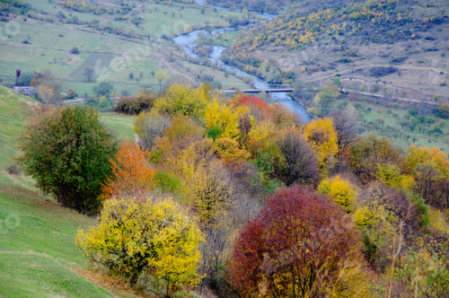 Preview: Landscape With Autumn Trees And Flowing River