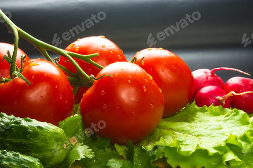 Preview: Still Life - Tomatoes On Twig, Cucumbers, Lettuce And Cilantro On A Wooden Board
