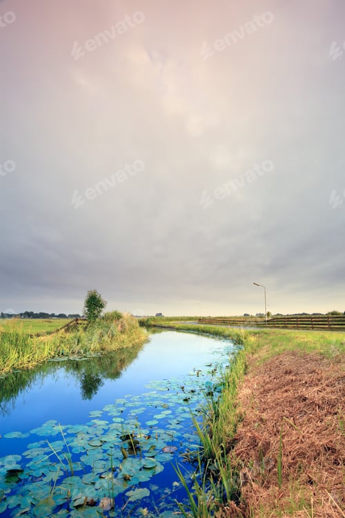 Preview: Meadow With Canal And Waterlilies Under Cloudy Sky, The Netherlands