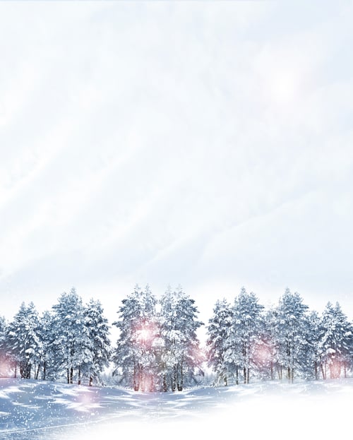 Preview: Winter Forest. Winter Landscape.