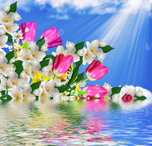 Aperçu: Spring Landscape. Flowers Tulips On A Background Of Blue Sky With Clouds.