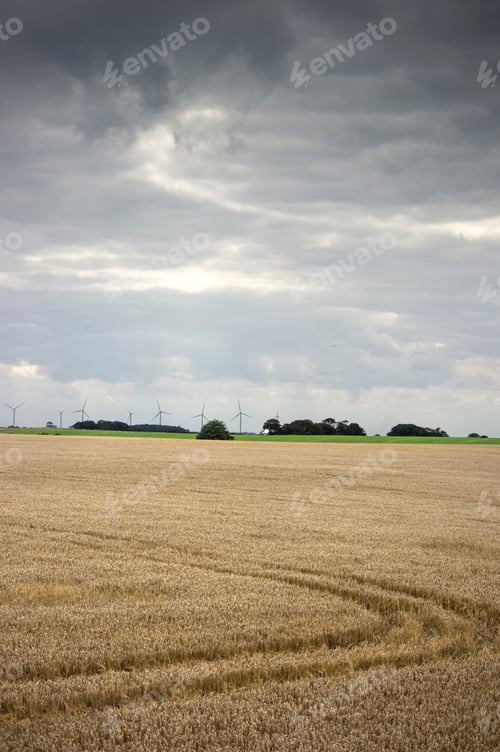 Preview: Tractor Tyre Marks In A Dry Crop Field