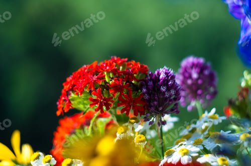 Preview: A Bouquet Of Bright Spring Flowers Of Various Types