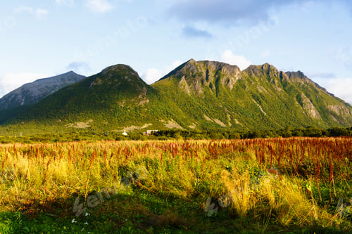 Preview: Autumn Colors In Norwegian Mountains, Troms Finnmark, Norway
