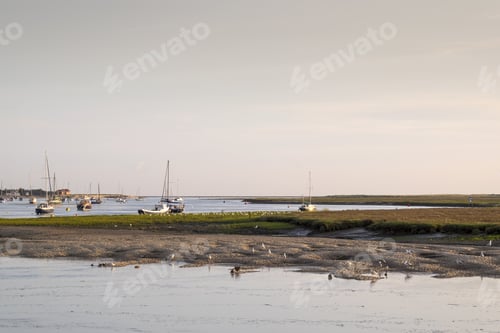 Preview: Wells Next The Sea Boats
