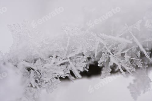 Preview: Details From A Branch Full Of Hoarfrost With Natural Background