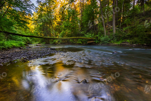 Preview: Beautiful Landscape With Summertime Forest And River. Wadag River In Olsztyn, Poland.