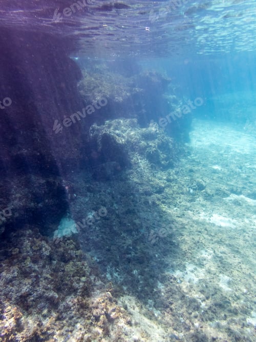 Preview: Underwater Views Around Curacao A Small Caribbean Island