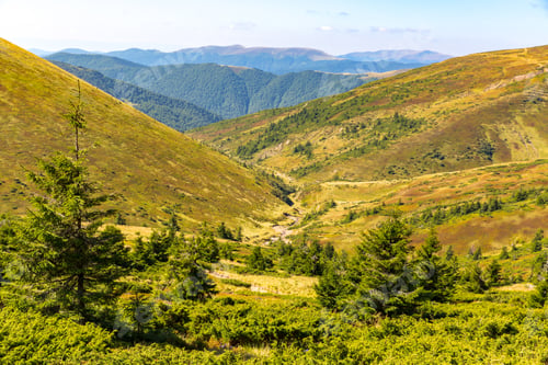 Preview: Nice Sunny Mountain Landscape In Carpathian