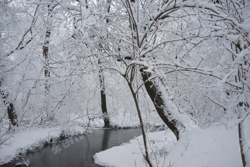 Preview: Snowing Landscape In The Park. High Resolution And Beautiful Snow Details