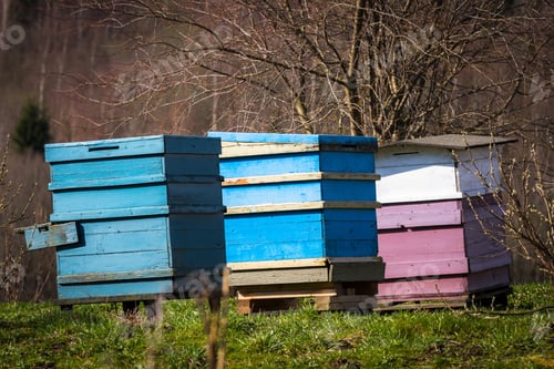 Preview: Colored Beehives