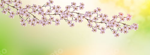 Preview: Blossoming Branch Apple. Bright Colorful Spring Flowers