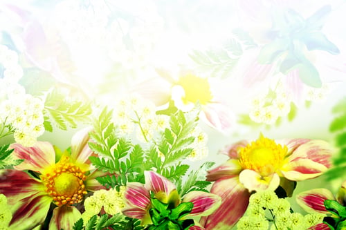 Preview: Floral Background