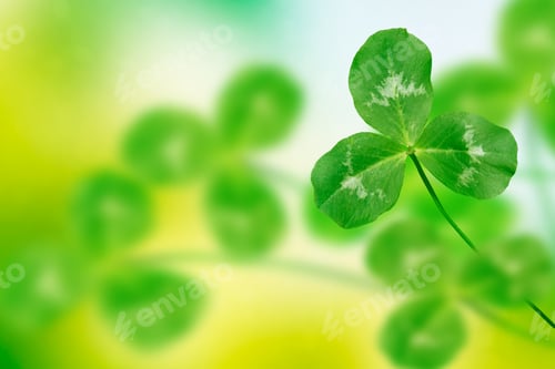 Preview: Green Clover Leaves On A Background Summer Landscape. St.Patrick 'S Day