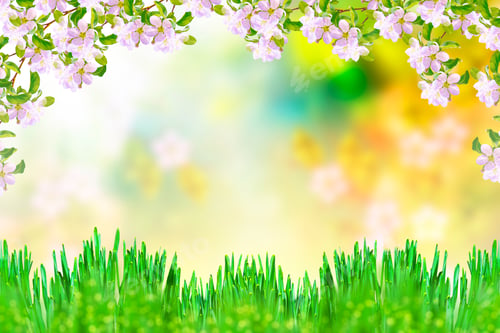 Preview: Blossoming Branch Apple. Bright Colorful Spring Flowers