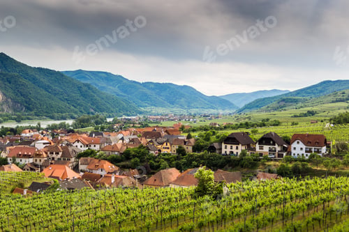 Preview: Scenic View Into The Wachau With The River Danube And Town Weissenkirchen In Lower Austria.