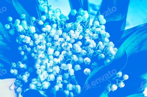 Preview: Spring Landscape. Flowers Lily Of The Valley