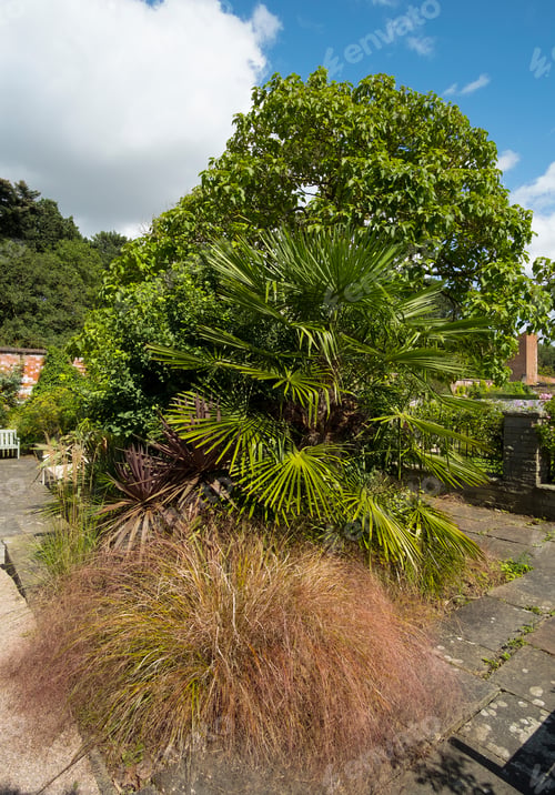 Preview: Ornamental Grass And Plants Example