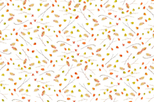 Preview: Foliage Isolated On White Background. Golden Autumn. Composition.