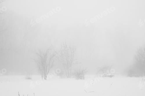 Preview: Winter Foggy Landscape In The Park