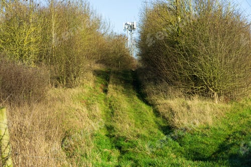 Preview: Rural Grassy Track Background Image