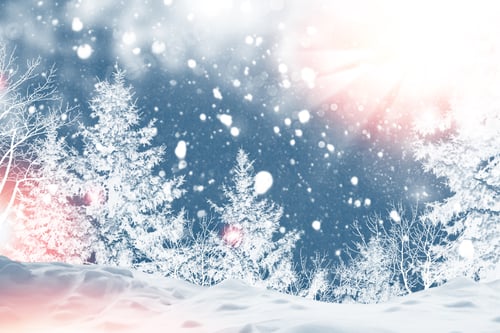 Preview: Merry Christmas And Happy New Year. Frozen Winter Forest With Snow Covered Trees. Outdoor