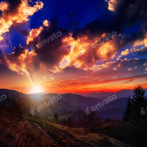 Preview: Mountain Steep Slope With Coniferous Forest In Evening Light